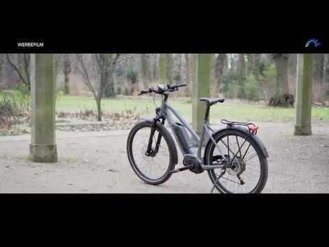 Diamant Elan Legere+ - 500 Wh - 2019 - 27,5 Zoll - Tiefeinsteiger