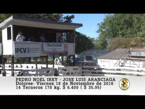 18-11-16 - Pedro Noel Irey - Jose Luis Aranciaga - Venta de Invernada - Dolores