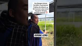 Download lagu Mr. Kowsem Turun Gunung! Amunisi Baru Siap Guncang Big Game! 🐓🔥 #MrKowsem #Mangon #PakhoyDrumband mp3