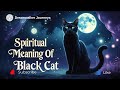 Spiritual Meaning of Black Cat | Mystery, Protection, and Spiritual Insight