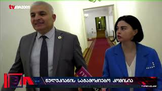 ბოჭორიშვილი ივანიშვილის წინააღმდეგ ევროპარლამენტში მუშაობდა