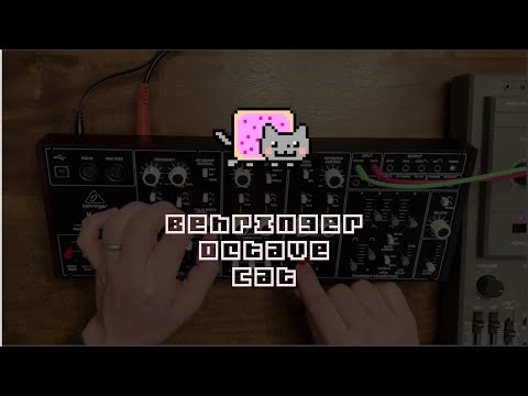 Behringer Octave Cat Synthesizer Demo (No Talking)