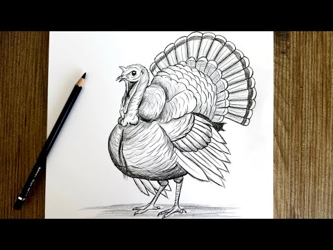 Draw A Turkey