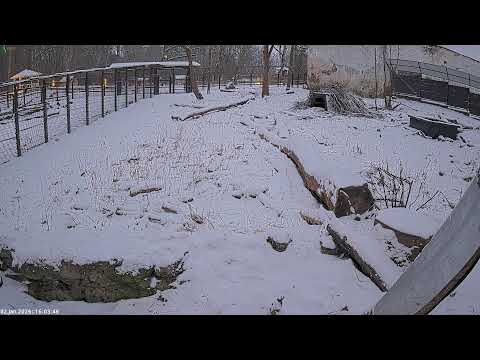 Karukaamera RMK Elistvere loomapargis