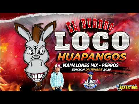 ( ESTRENO ) Huapangos 🔥🫏Perros Mix El Burro Loco Diciembre - 2025 Dj Boy Houston el Original