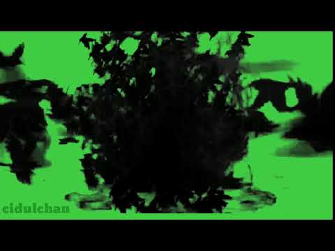 Crow Dispersion Green Screen With Sound FX
