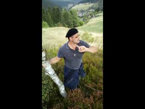 Sagen im Harz: Wie Wildemann zu seinem Namen kam