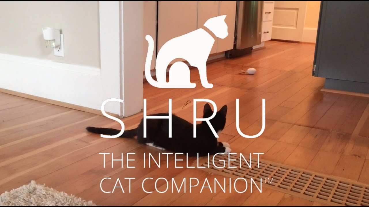 SHRU // The Intelligent Cat Companion video thumbnail