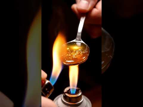 How to Spot Fake Honey! Easy Purity Tests at Home