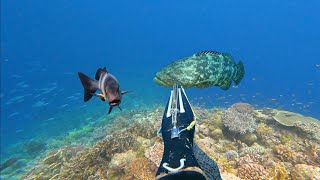 Download lagu BERBURU 4 HARI | Tantangan Mencari Ikan Monster Untuk Makan mp3 Download lagu BERBURU 4 HARI | Tantangan Mencari Ikan Monster Untuk Makan mp3