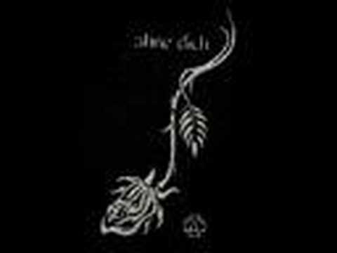 ToonY - Ohne  DICH !!