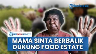 Usai Protes Film Pesta Babi, Mama Sinta Kini Dukung Proyek Food Estate Pemerintah di Tanah Papua