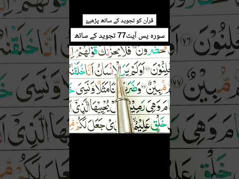Learn Surah Yaseen with Tajweed Ayat 77 #short #viralshorts #trending #quran #yaseen #ytshorts