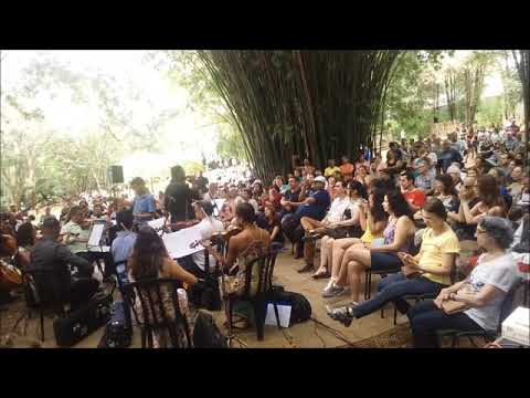 UM CANTO NO BOTÂNICO: ORQUESTRA SINFÔNICA MUNICIPAL DE BAURU NO JARDIM BOTÂNICO - 02/12/2018
