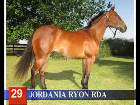 2016 - Lote 29 JORDANIA RYON RDA   Beduinos Ryon RDA x Baturria Special RDA Sampa Special Sa