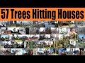 57 Trees Hitting Houses