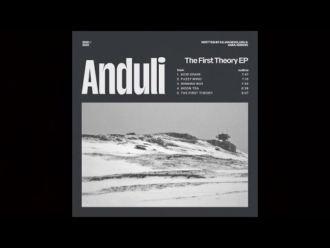 Anduli (Andu Simion & IULY.B) - Fuzzy Mind