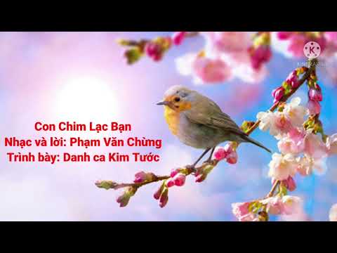 Con chim lạc bạn - Kim Tước