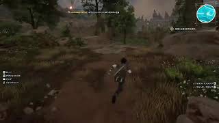 ＃32【配信】これはゲームであって遊びではない【Echoes of Aincrad】