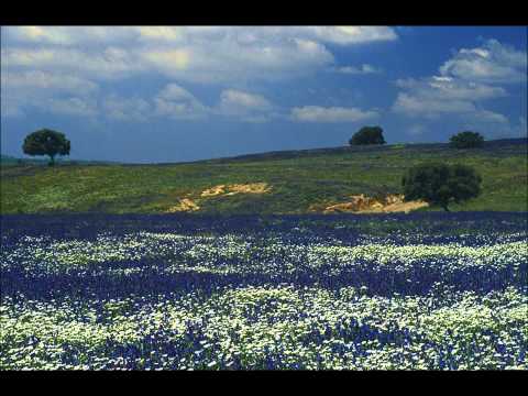 Scarborough fair, 2e stem