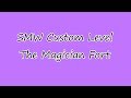 SMW Custom Level The Magician Fort
