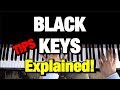 Chopin Etude Op 10 No 5 Piano Tutorial Black Keys How To Play Lesson