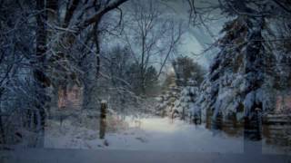 TOMMY ROE-&quot;IT&#39;S NOW CHRISTMAS DAY&quot;