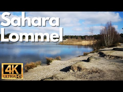 ? Sahara Lommel, Belgien: Ein entspannender Zufluchtsort in der Natur ???
