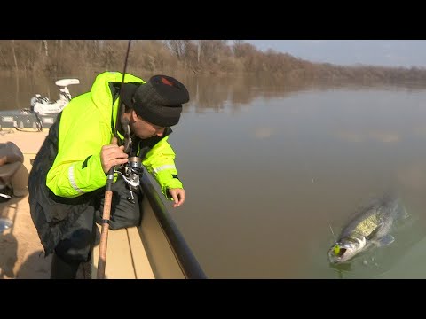Pecanje smuđa i soma na reci Savi u Hrvatskoj kod Zagreba - Opština Rugvica FULL VIDEO