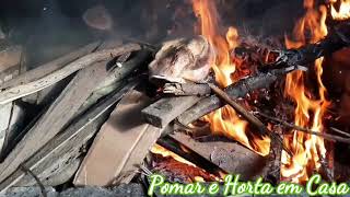 Miniatura do vídeo