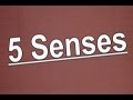 5 Senses Song The 5 Senses 5 Sense For Kids Jack Hartmann