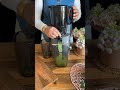 TIGRECOOK Slow Juicer Yavaş Sıkım Katı Meyve Sıkacağı Sorbe Ve Dondurma