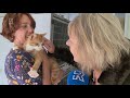Rijnmond Nieuws - 14 november 2019