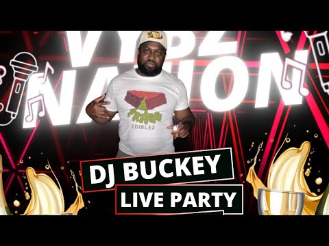 Promotional video thumbnail 1 for DJ Buckey - The Vibe Creator