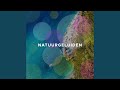 Rustgevende Muziek Dream Masters