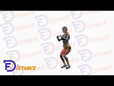 Squat à partir de la position à genou (Kneeling Squat Jump) - Exercice Squat à partir de la position à genou (Kneeling Squat Jump) en vidéo Squat à partir de la position à genou (Kneeling Squat Jump) - Exercice Squat à partir de la position à genou (Kneeling Squat Jump) en vidéo