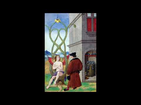 Mysterium Coniunctionis by Carl Jung | Presented by Phoenix Heritage - Part 1