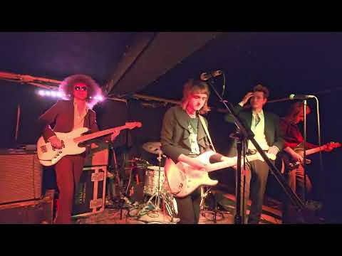 Brigitte Calls Me Baby Sebright Arms 11/06/25