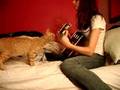 Killing the Blues- Shawn Colvin