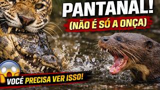 O Predador Mais Perigoso do Brasil NÃO é quem você imagina