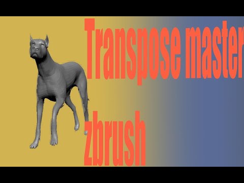 Transpose Master zbrush 2021.5
