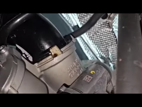 Volkswagen Atlas 2024 – Brand New & Already Leaking? | VW Atlas 2.0L Turbo Oil Leak-Under 6K Miles!