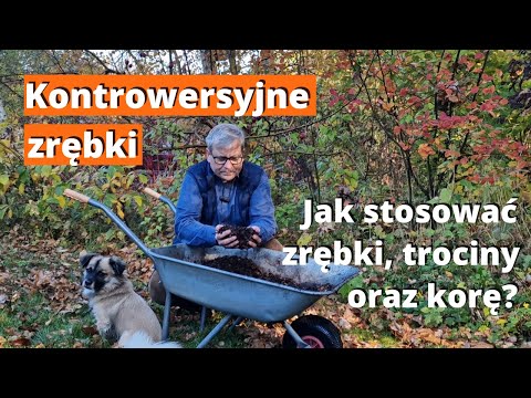 Zrębki, trociny i kora w ogrodzie ekologicznym.