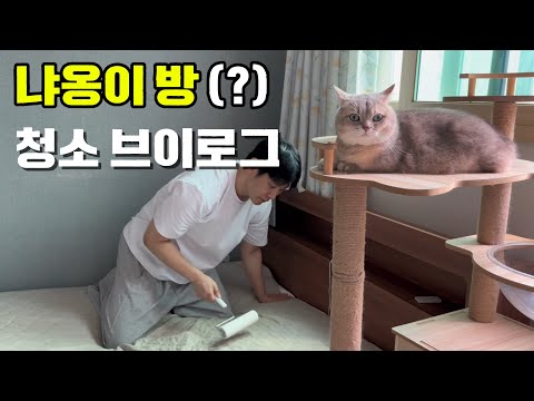 고양이방(?) 청소 브이로그