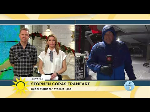Stormen Coras framfart – "Det gick inte att köra bil, vi fick stanna" - Nyhe