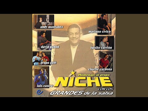 Como Podre Disimular