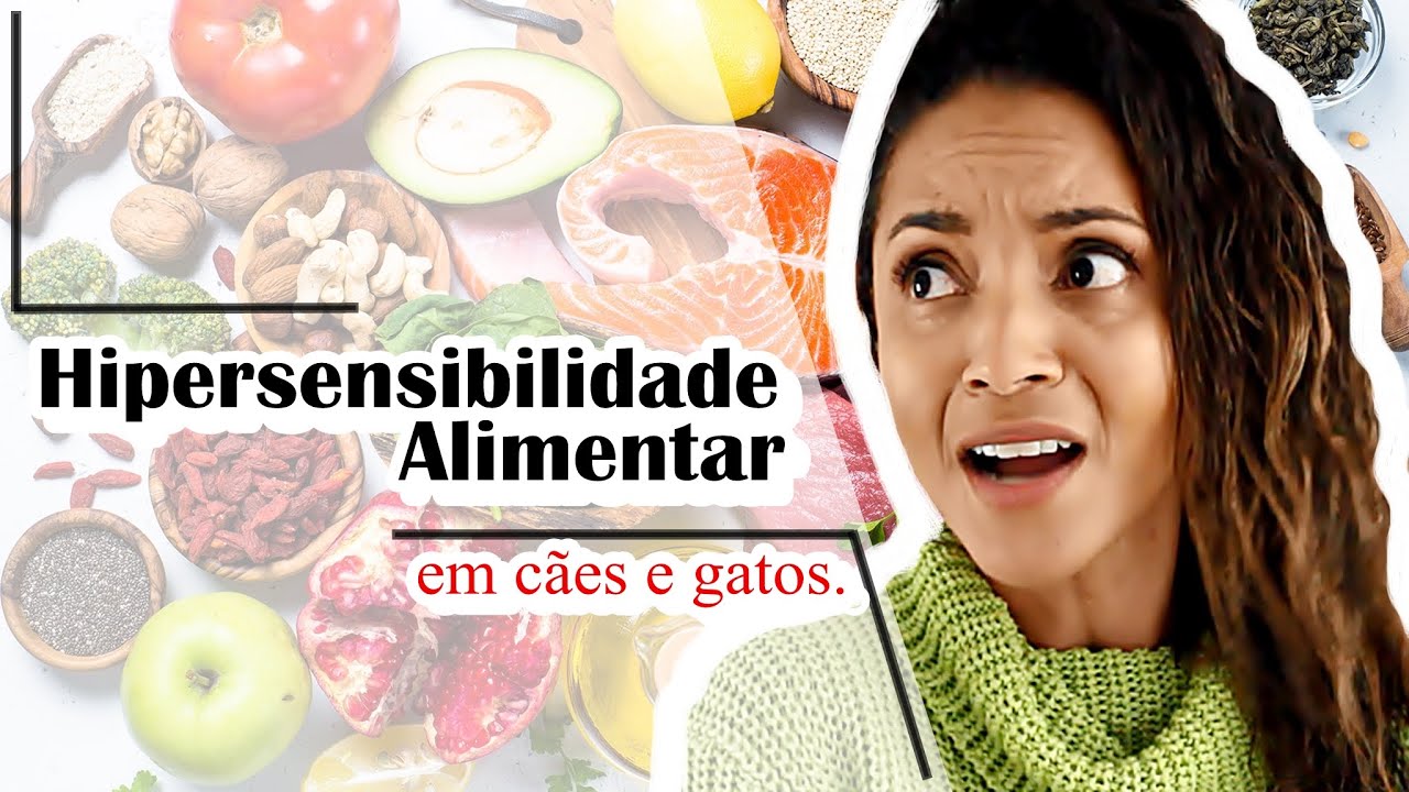 #HIPERSENSIBILIDADE ALIMENTAR. MEU CÃO NÃO PARA DE COÇAR.
