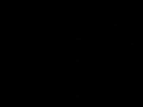 Dans la forêt des mal-aimés_P. Lapointe_Bataclan Live