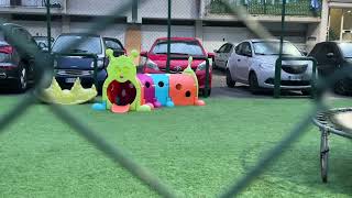 imponente-operazione-anti-camorra-a-napoli-arresti-e-sequestri