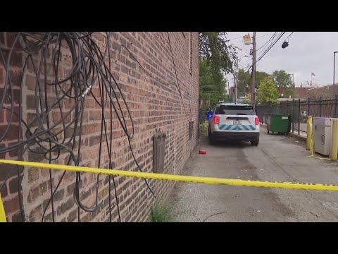 2 dead, another injured in Auburn Gresham shooting - WGN News at 9